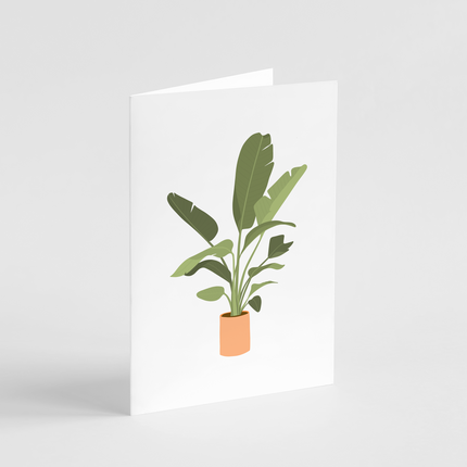 Bird of Paradise Card