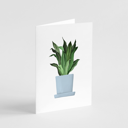 Dracaena Plant Card