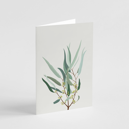 Eucalyptus Card