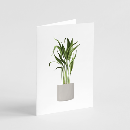 Palm Plant Card
