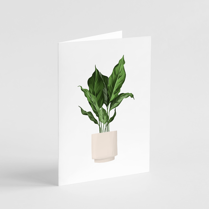 Peace Lily Card