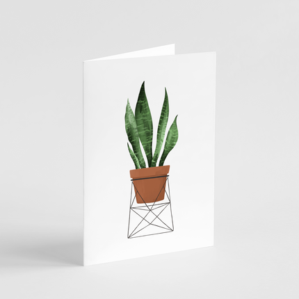 Snake Plant Card