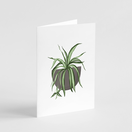 Spider Plant Card