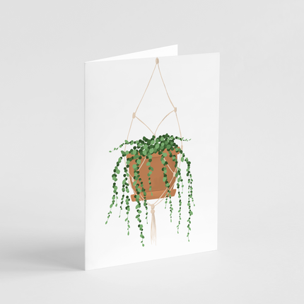 String of Pearls Plant Cards